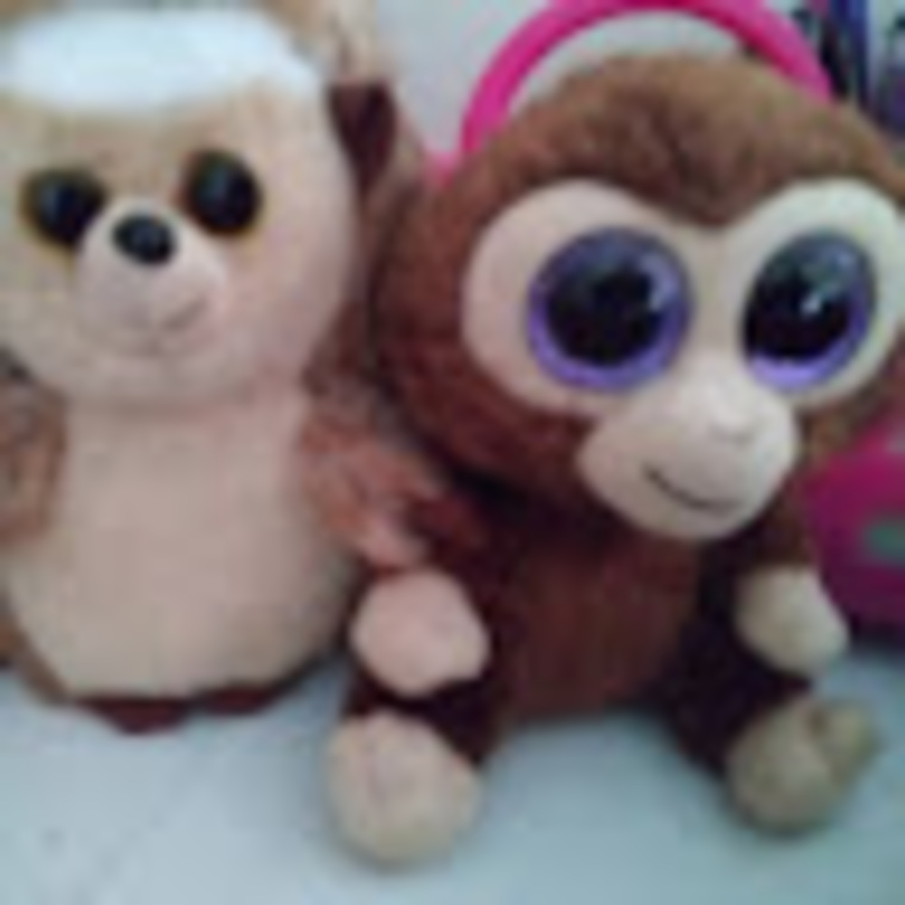 Meet your Posher, Kristen